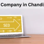 SEO Company in Chandigarh